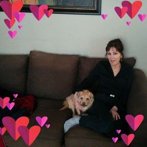 Meet your Posher, Anne